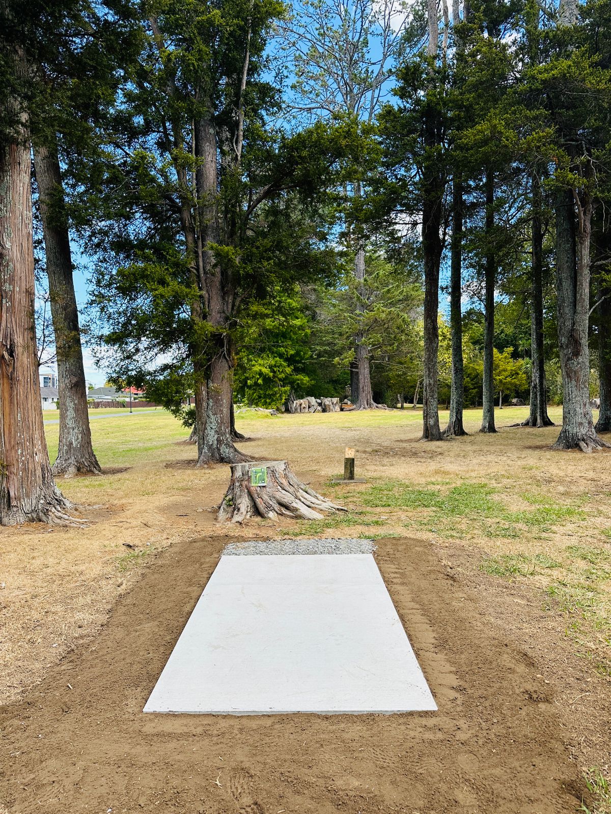 Disc Shop NZ Custom Tee Pad upgrade .. 2025