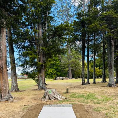 Disc Shop NZ Custom Tee Pad upgrade .. 2025