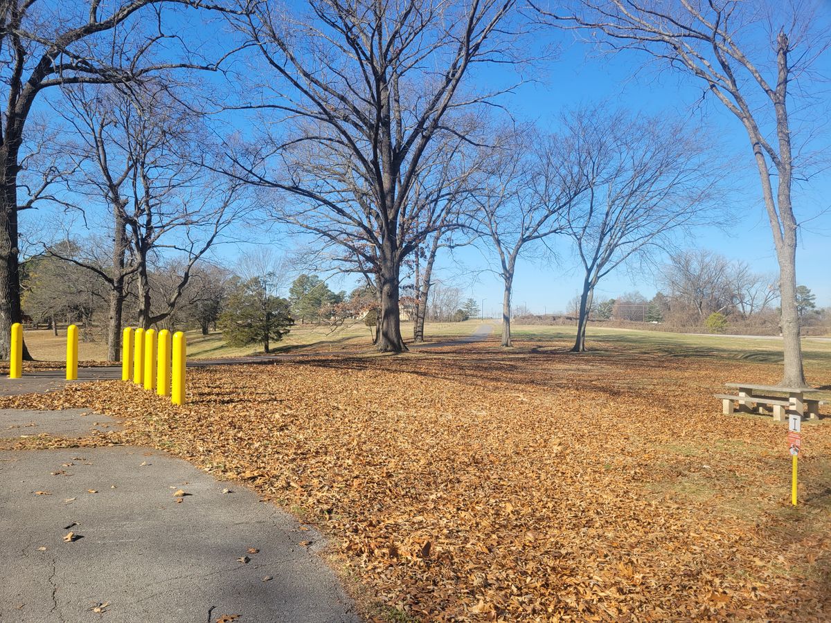 1 tee and 6 basket