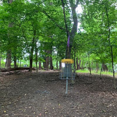 Hole 1 basket. Hole 2 tee is to the left, faces opposite direction.