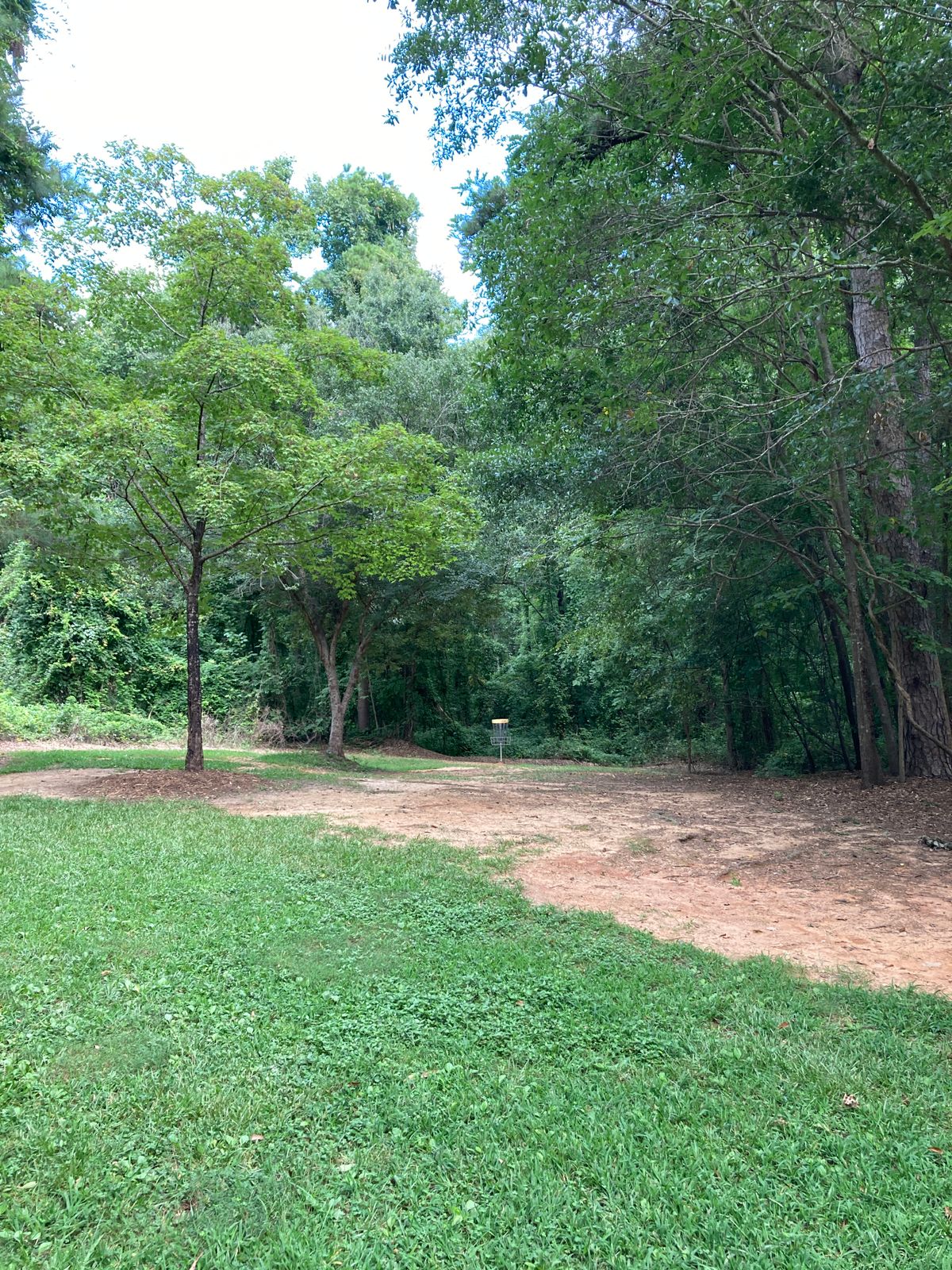 Hole 2 - basket - fast downhill green with drop off 30ft past basket