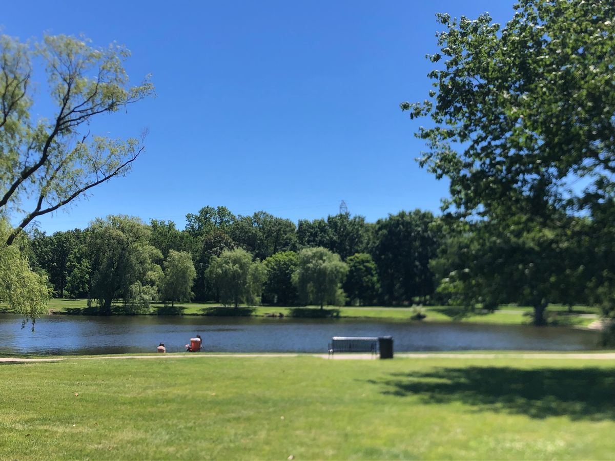 West side of Bevier Pond