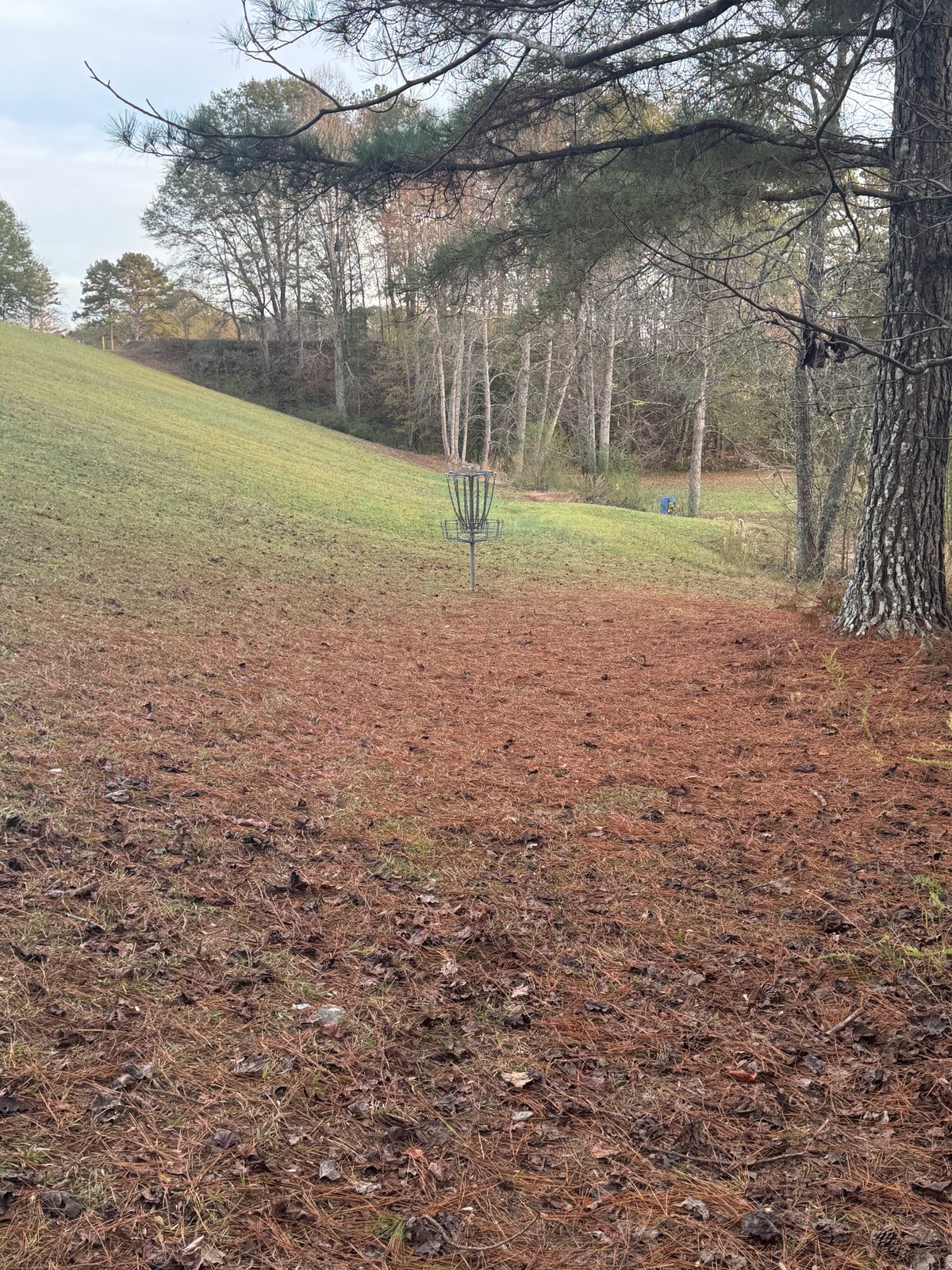 Hole 8 basket