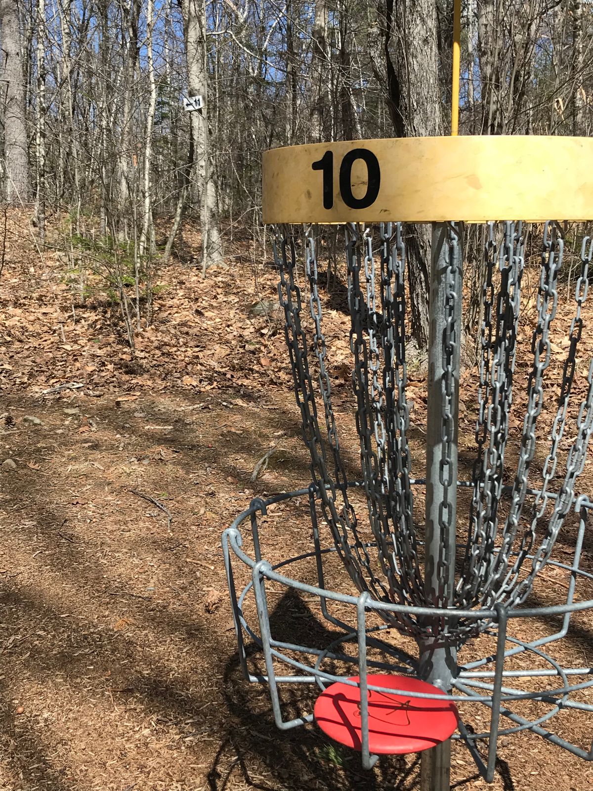 Great signage showing next tee location