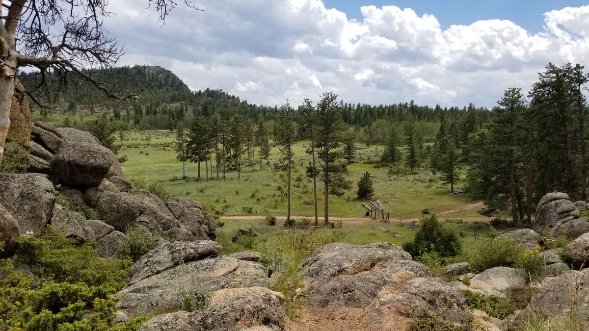 Tee shot on hole 15