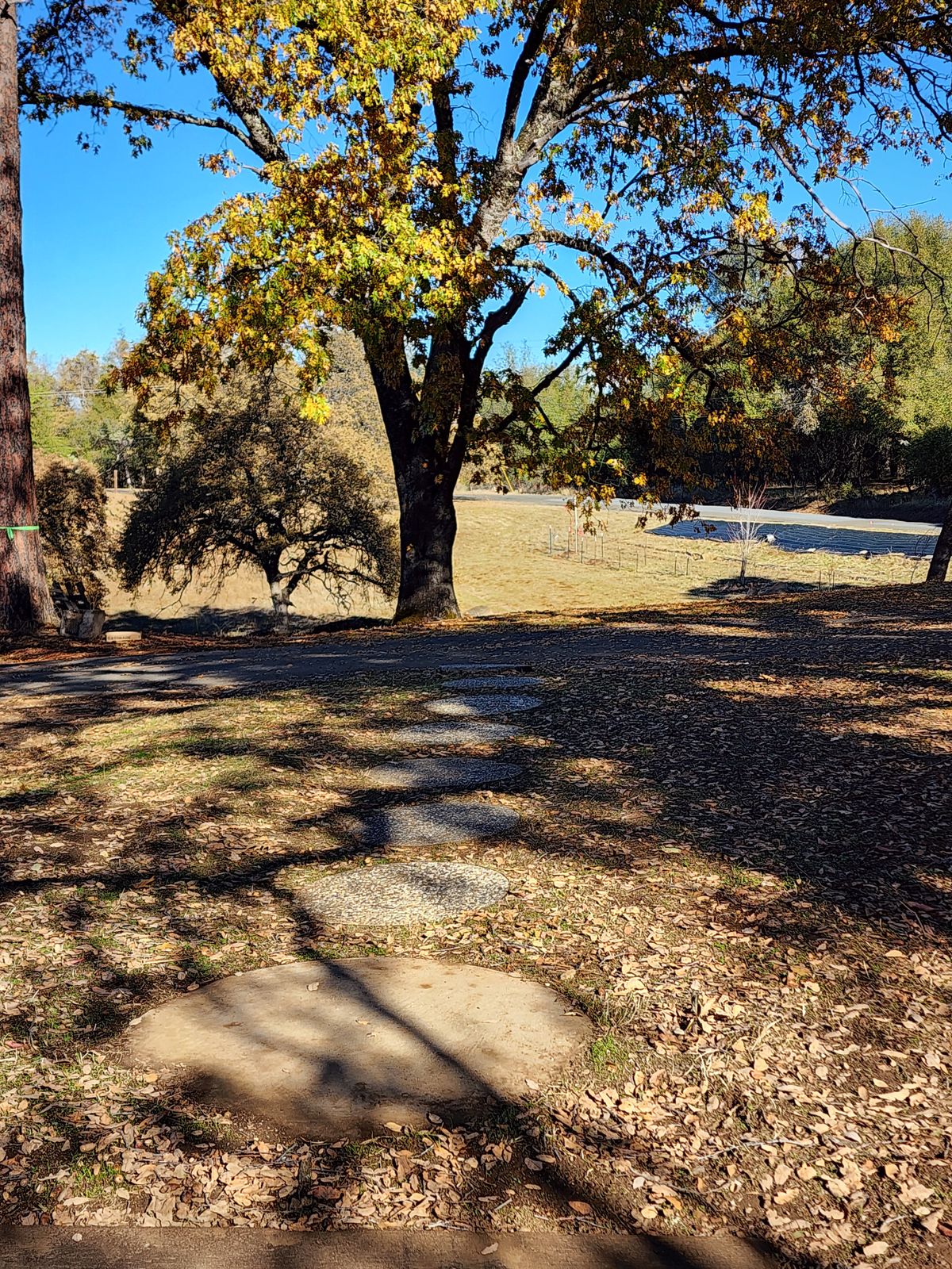 Hole 1 Tee