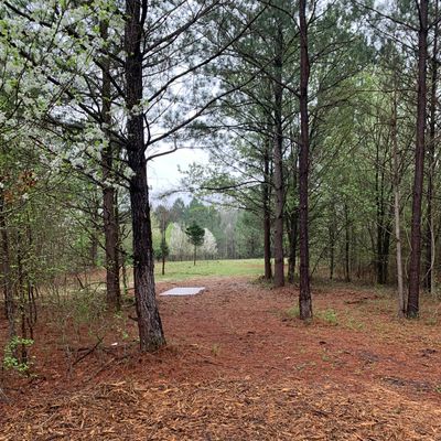 Hole 7 West - Gold Tee