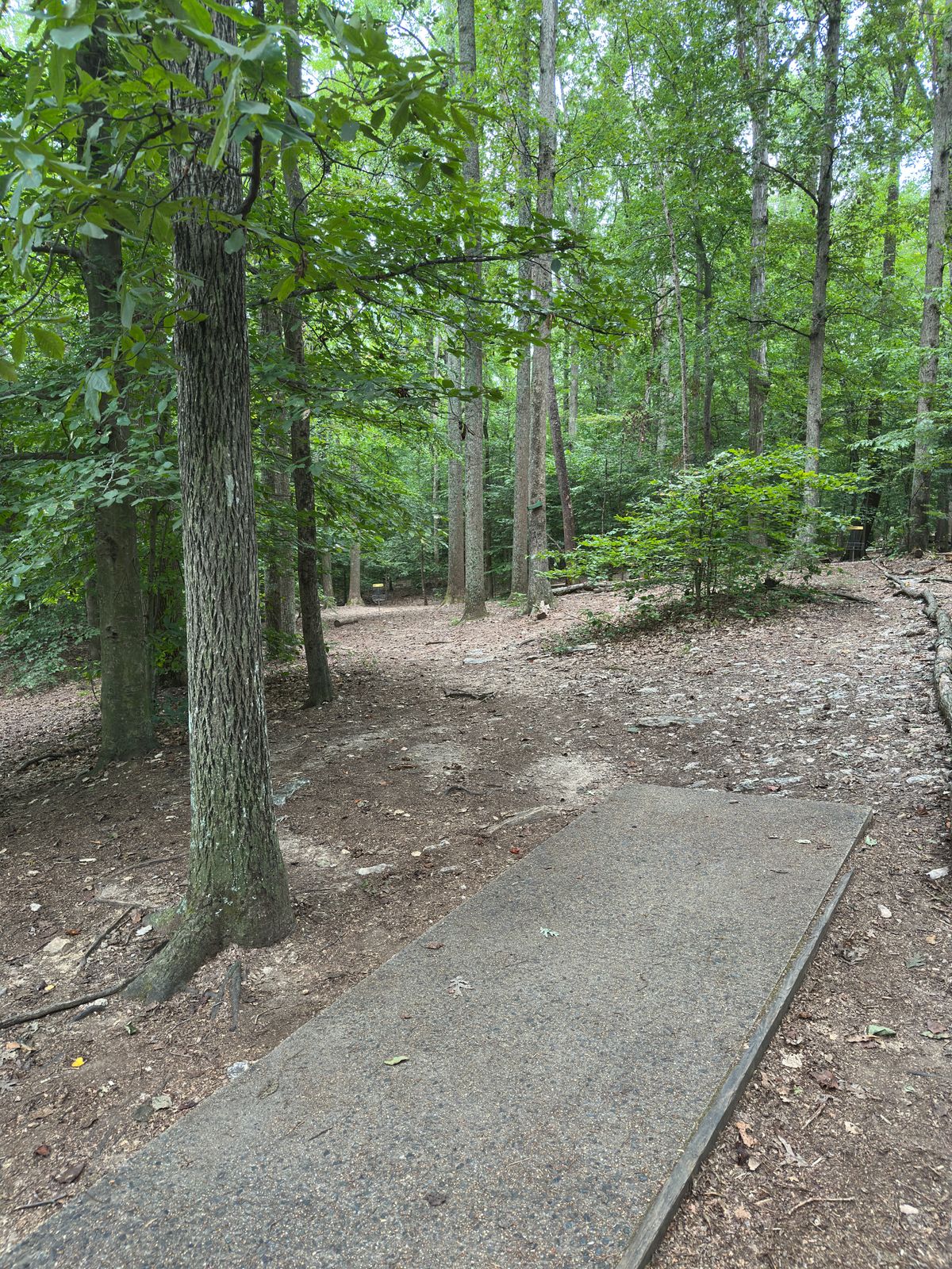 Hole 5 red/white tee