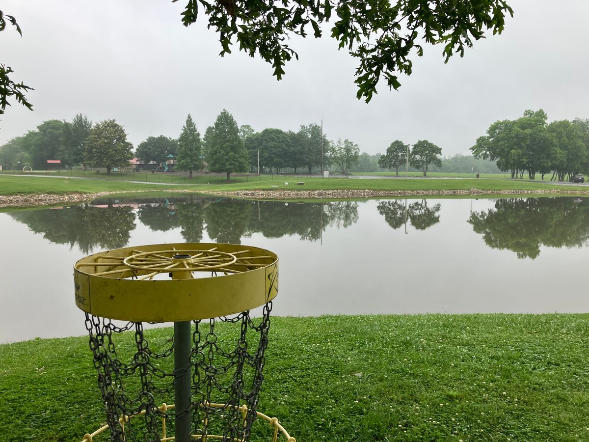 View of tee box from the basket. Green is slight sloped 15ft from basket.