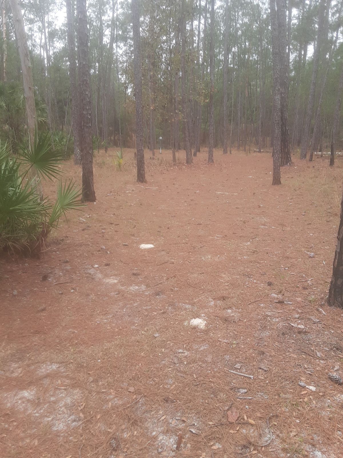 5 long fairway extension