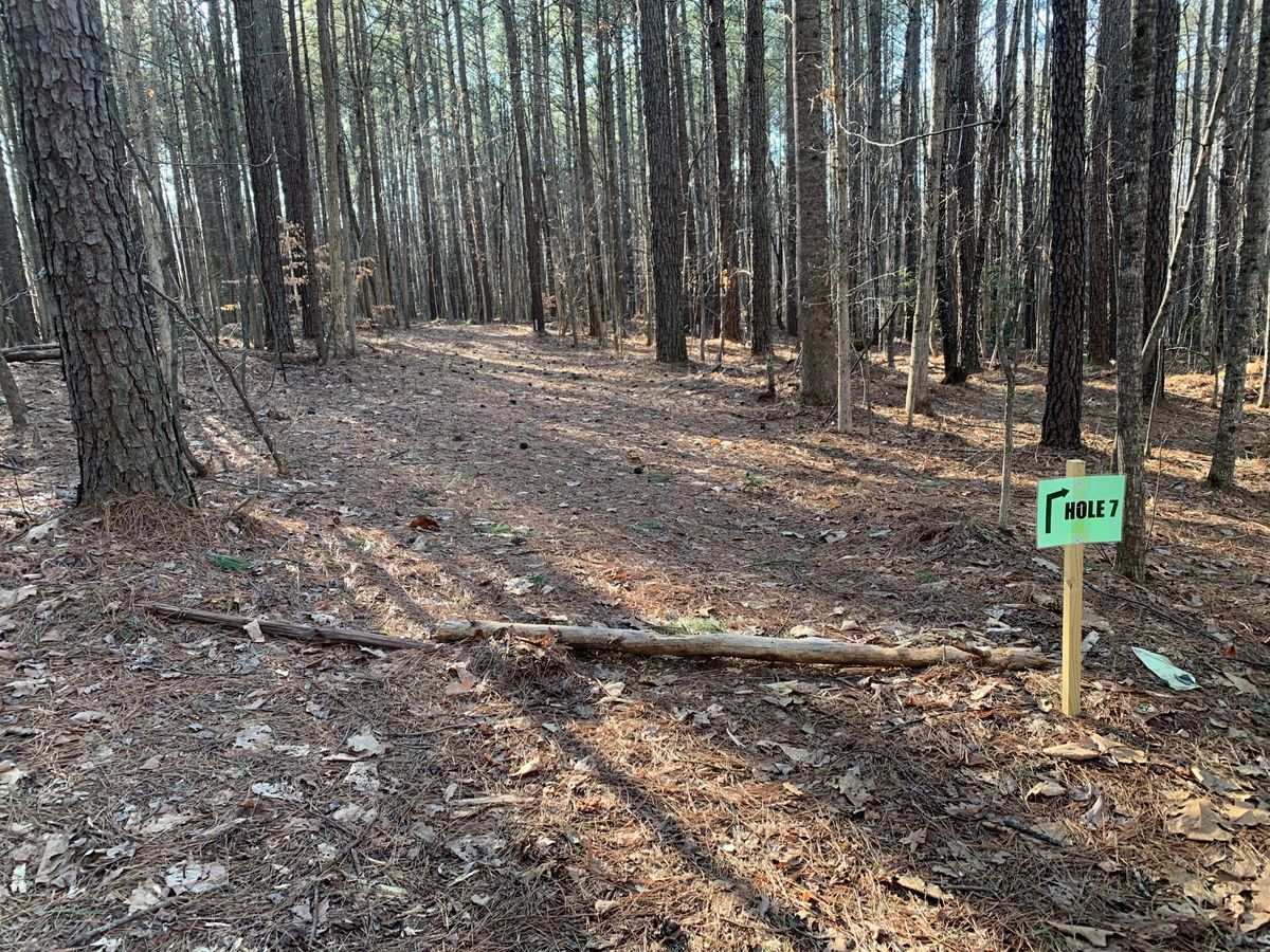 Hole 7 tee area