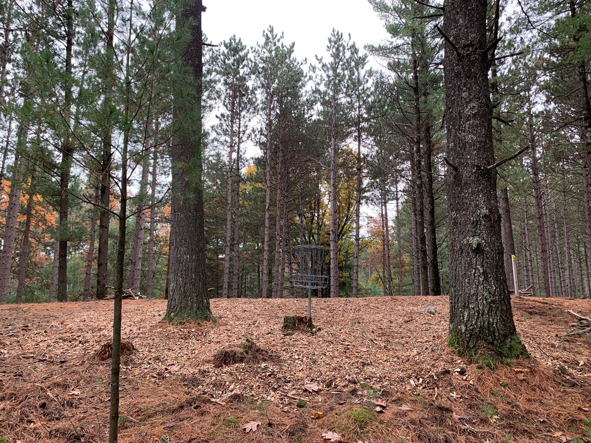 Hole 7 behind basket