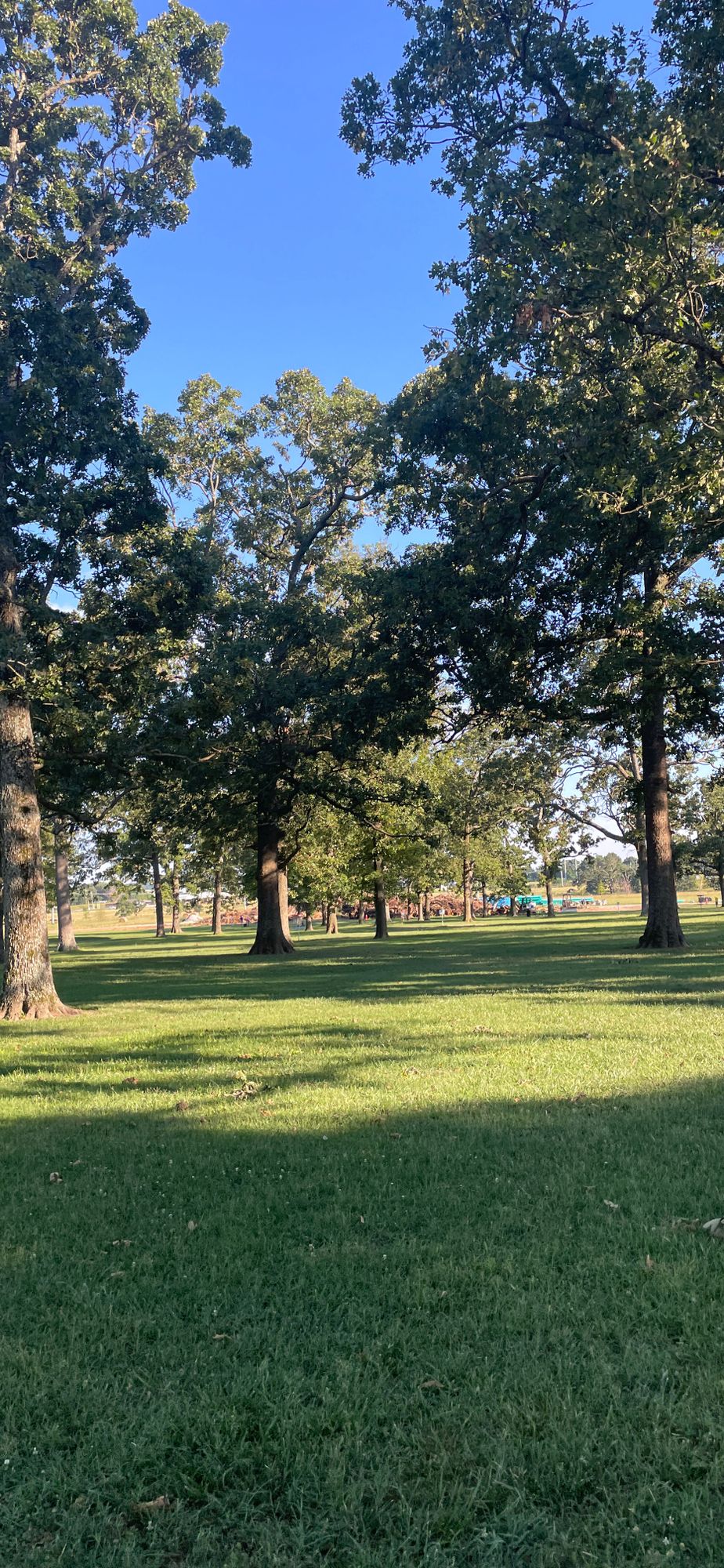 Beautiful day