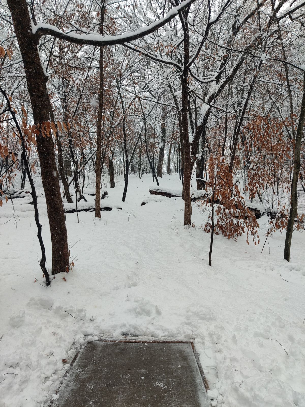 Hole 4