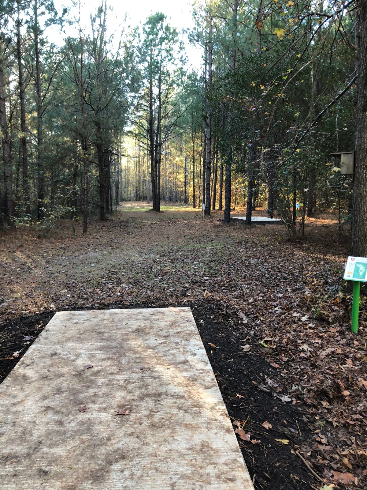 11 tee pad long