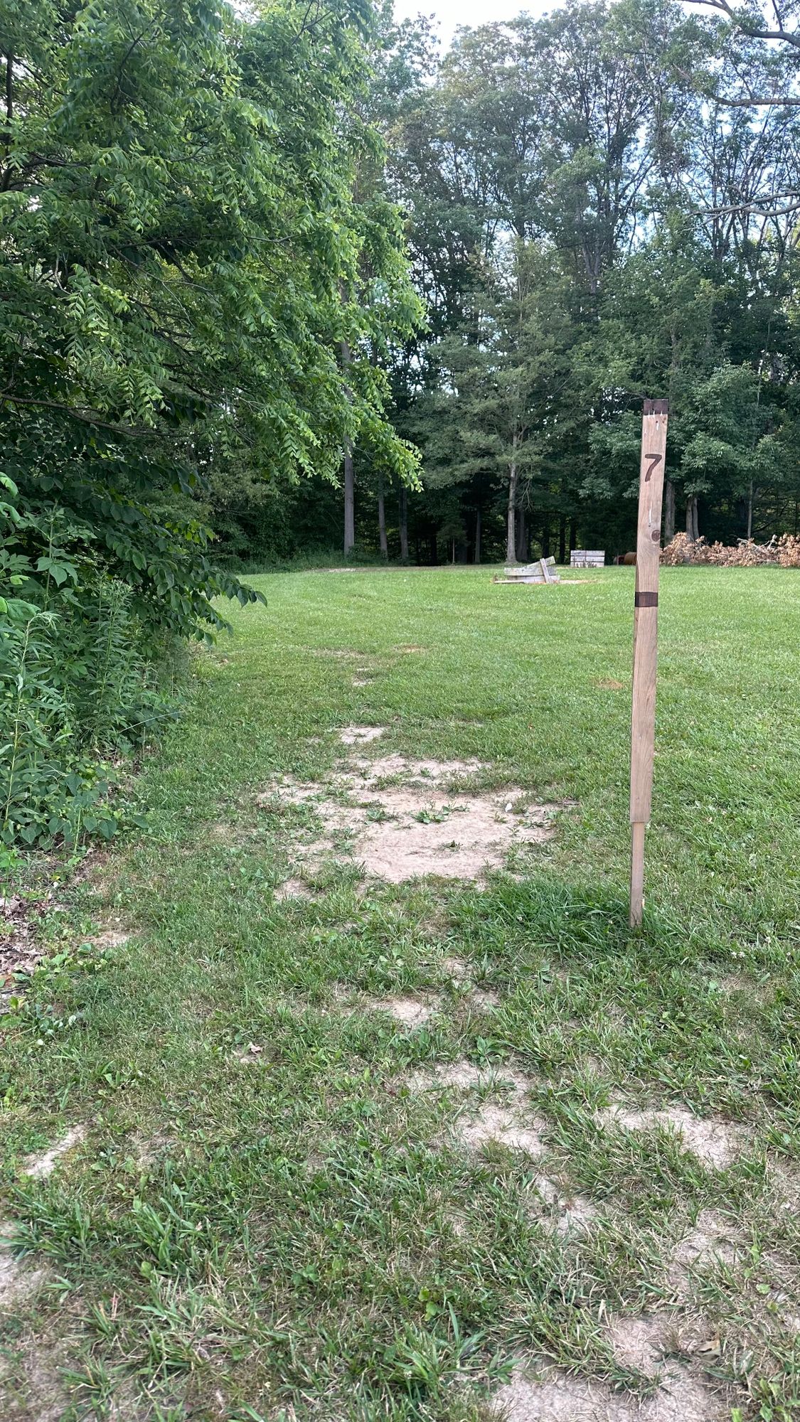 Hole 7 Teepad
Aim for the far left tree 
The basket is about 20-30 feet behind it down the hill left