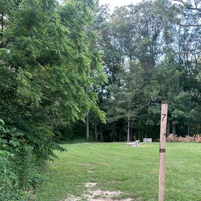 Hole 7 Teepad
Aim for the far left tree 
The basket is about 20-30 feet behind it down the hill left