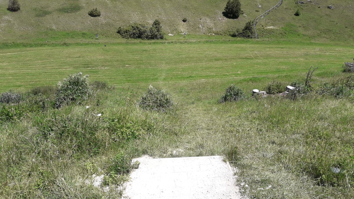 Hole 9 - across the meadow down to the basket, the signs here and on 11 and 12 were taken down when they chopped down the little forest
