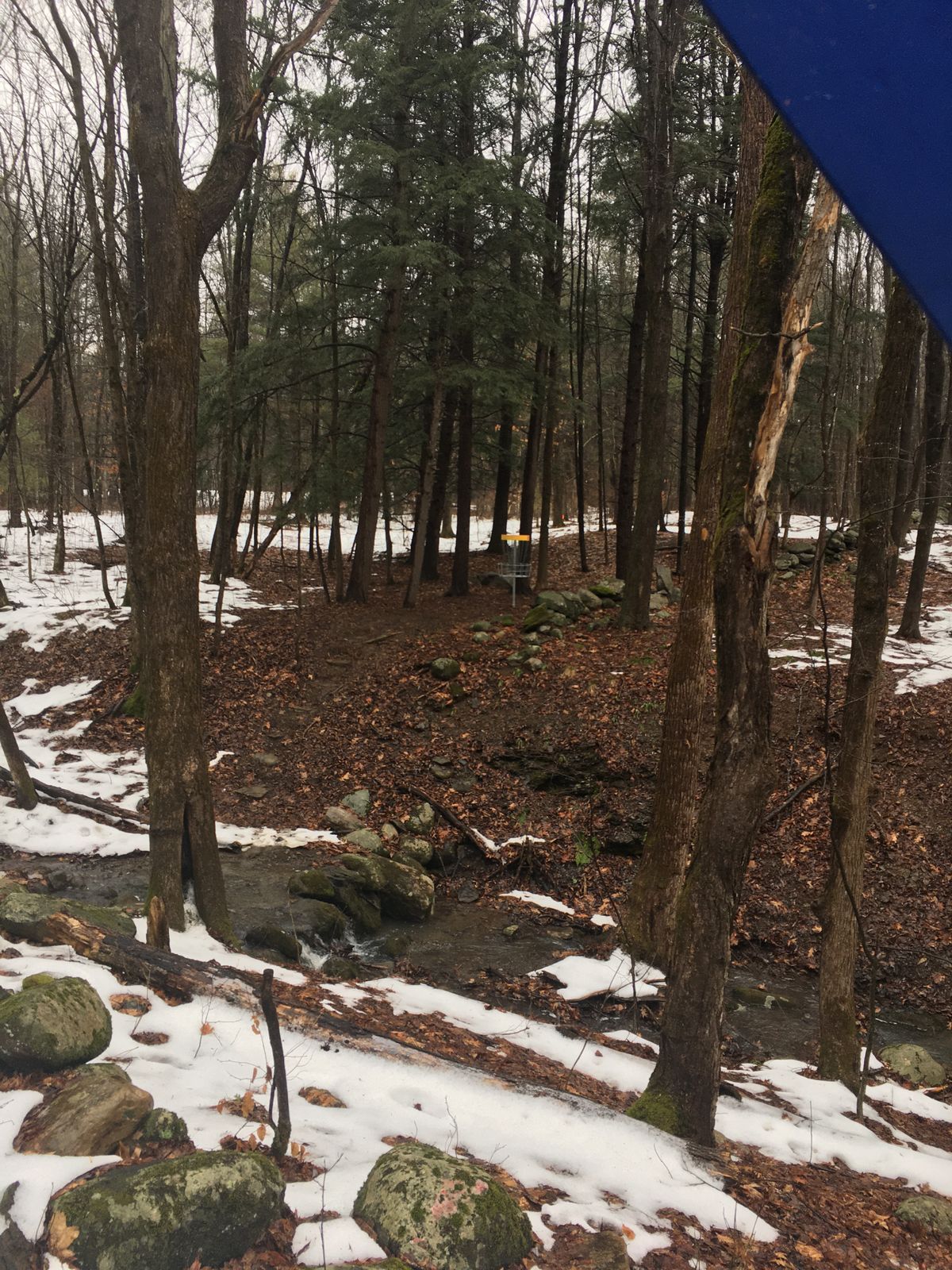 Hole 3 approach
