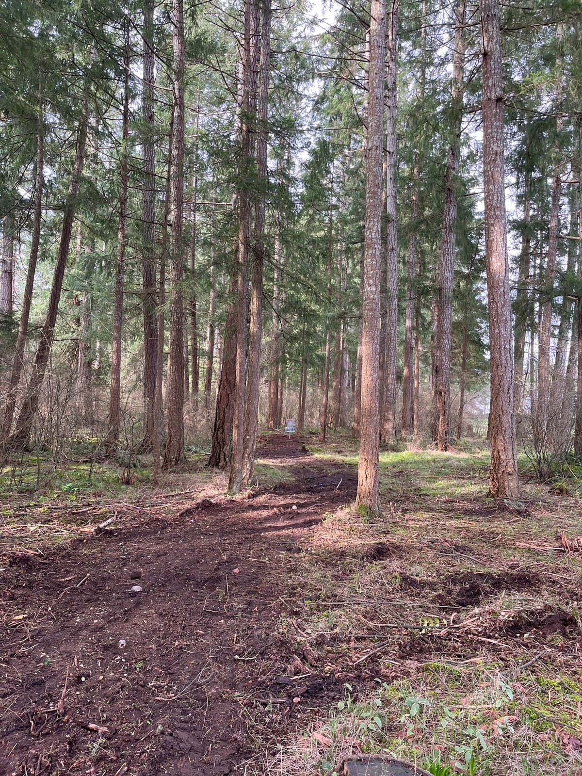 Hole 7