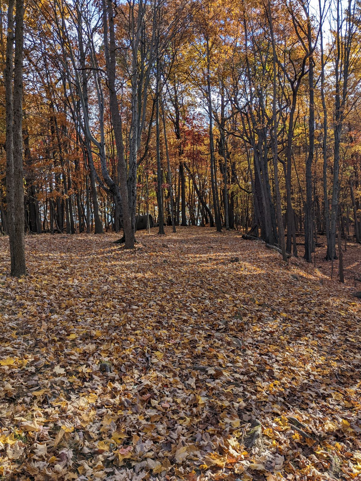 Hole 16 fairway 