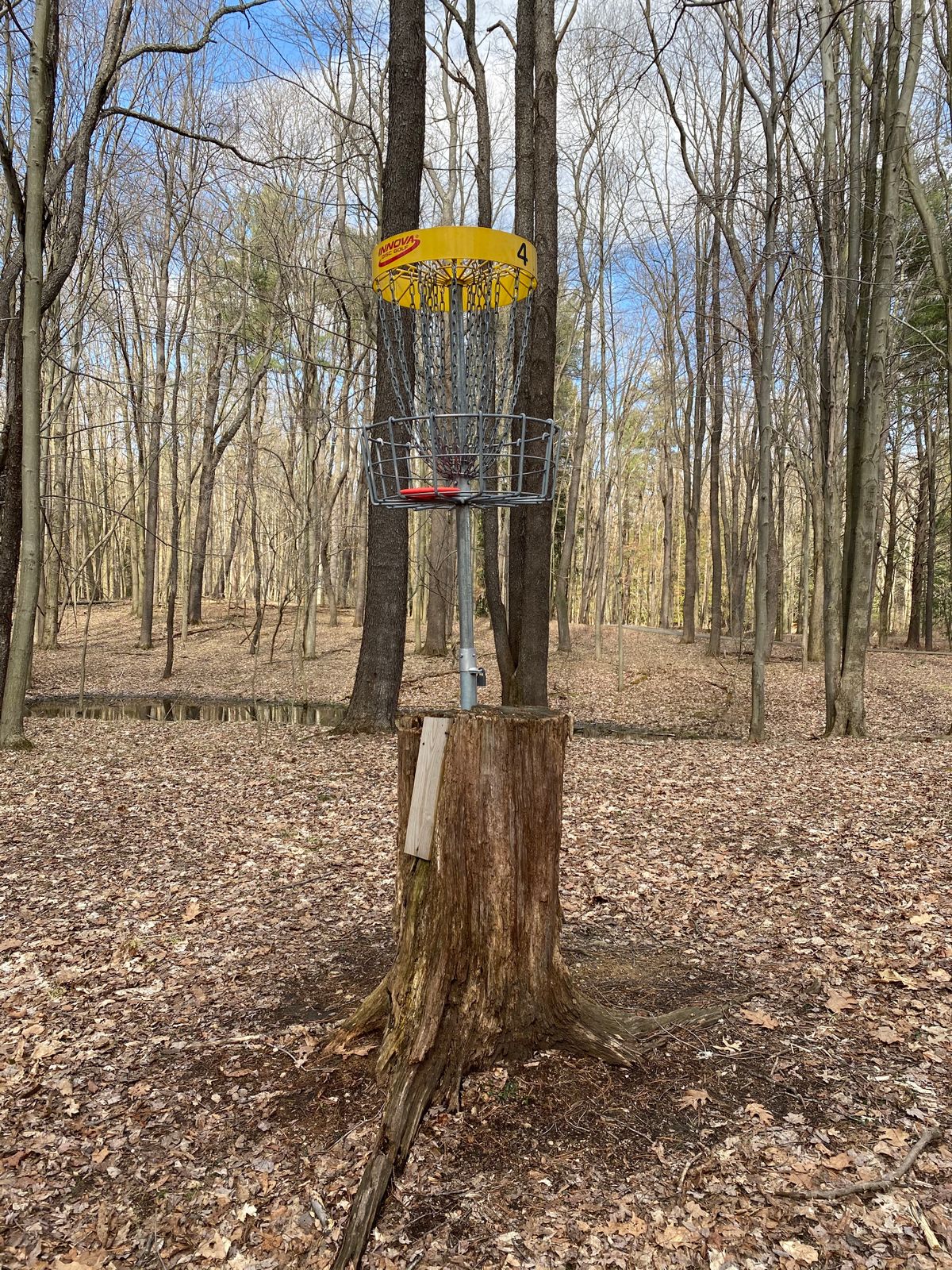 Tree stump pin location on hole 4.