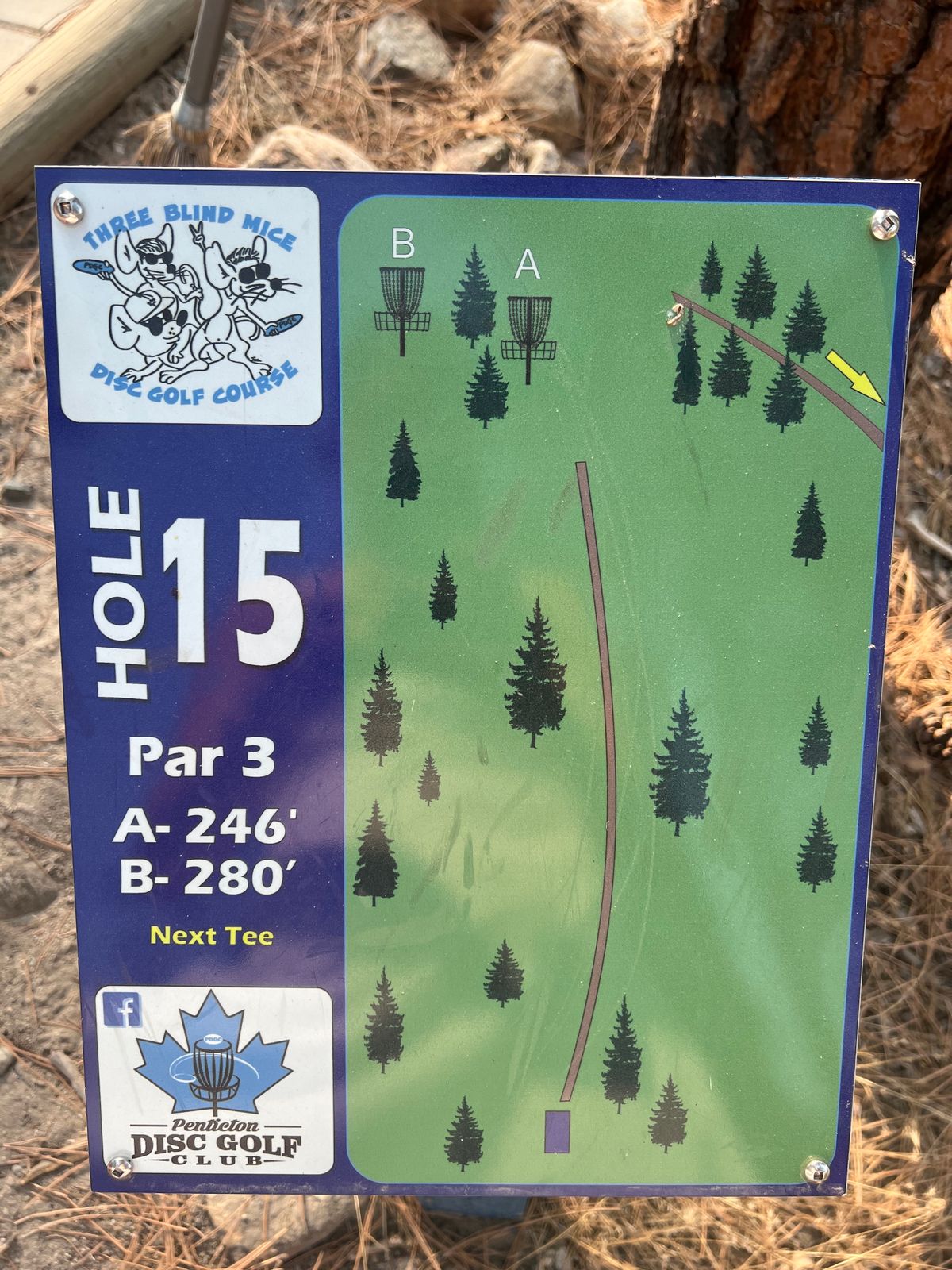 Hole 15