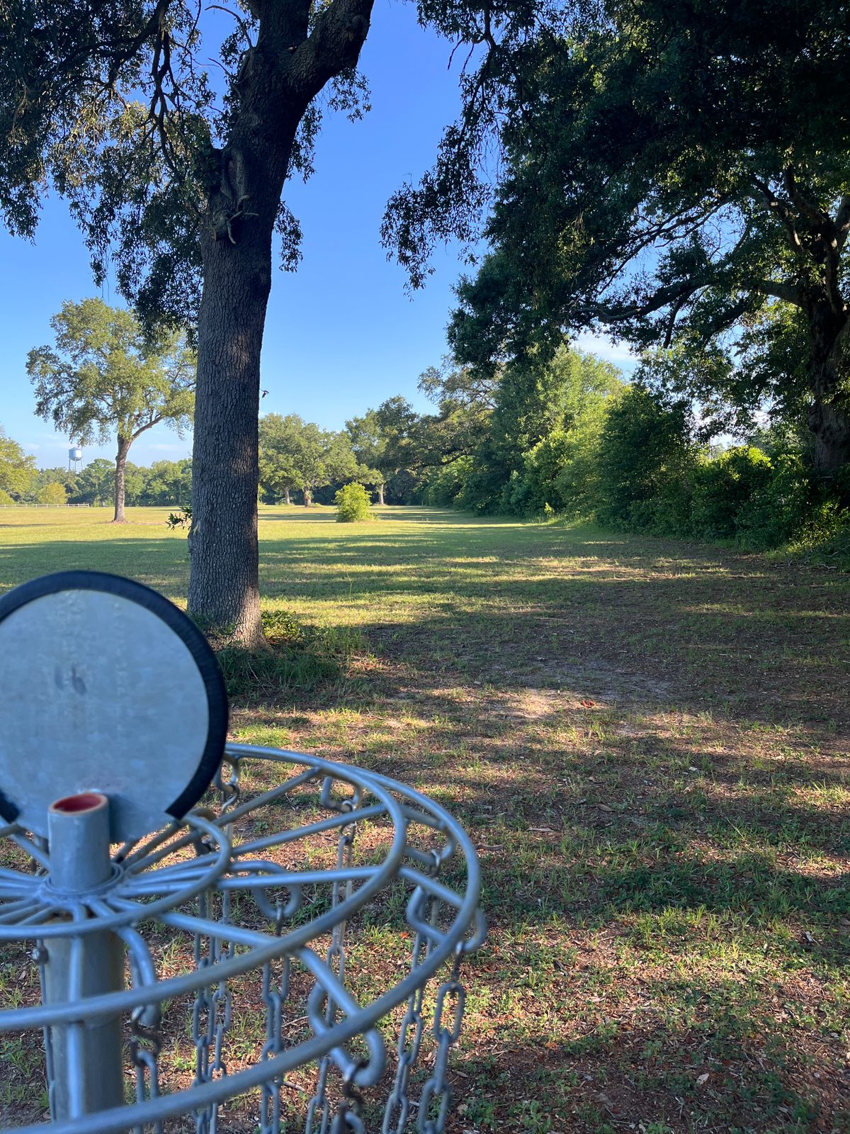 Hole 11 Basket to Tee
