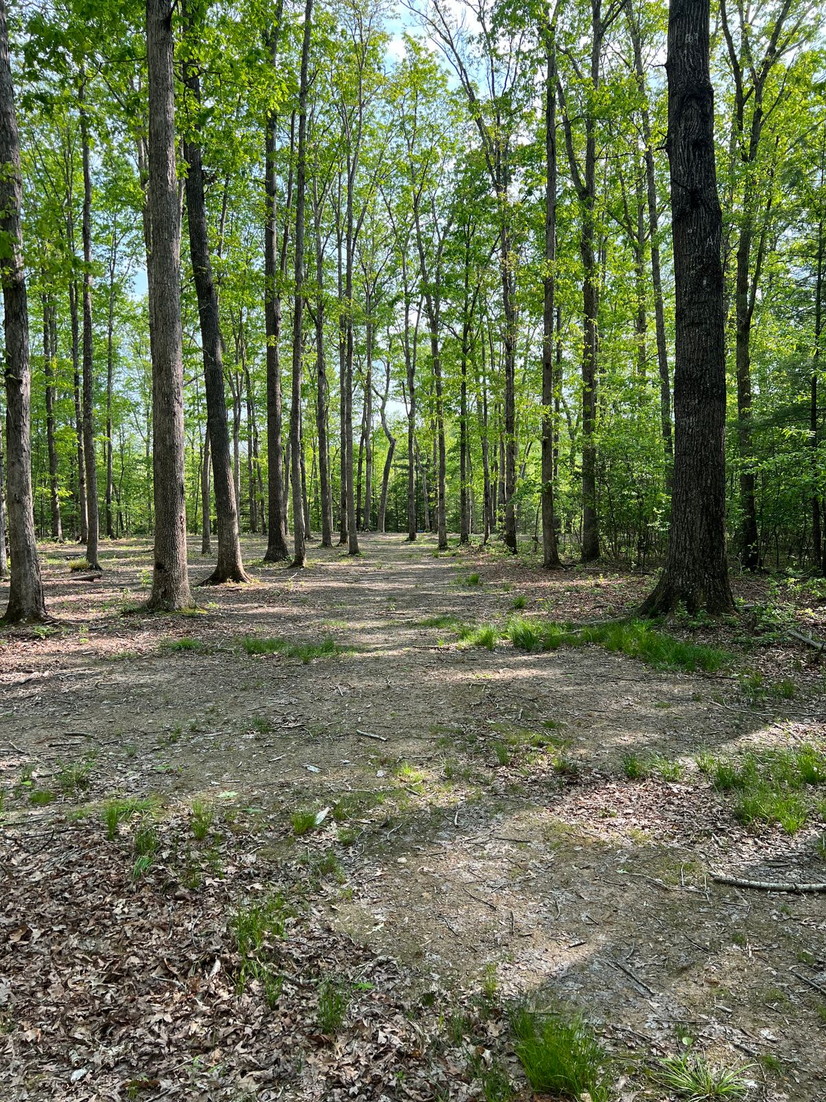 Hole 5 Mid-Fairway