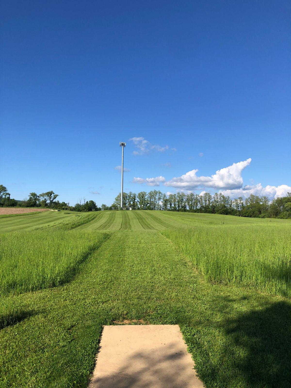 Hole 10 tee