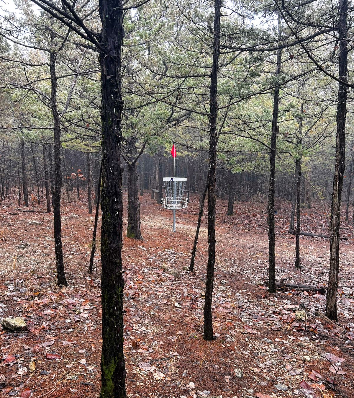 Very thick canopy, narrow fairway, plethora of pines