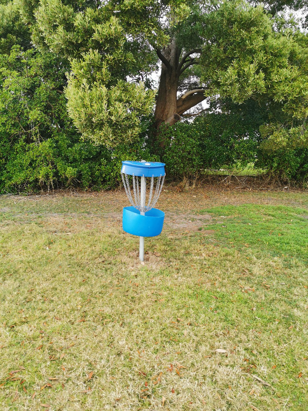 3rd Basket