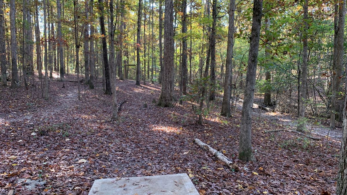 Hole 12