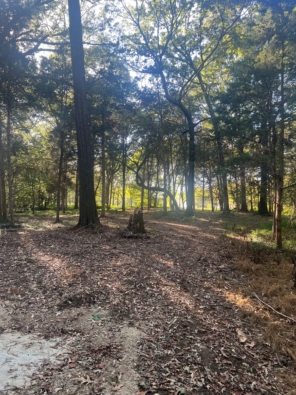 From the tee of 4A