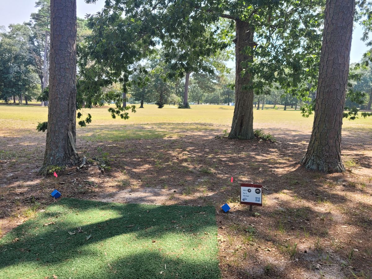 Hole 10. Turf pads look great. Signage and way-finding good