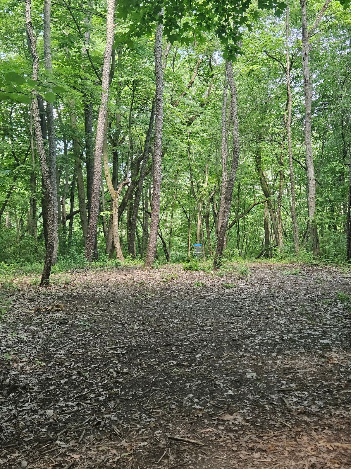 Hole 6 fairway