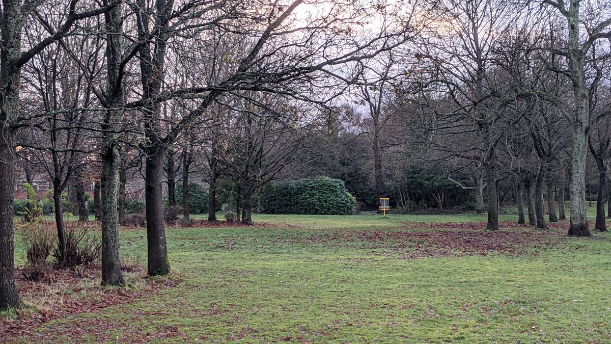 Hole 8 approach.