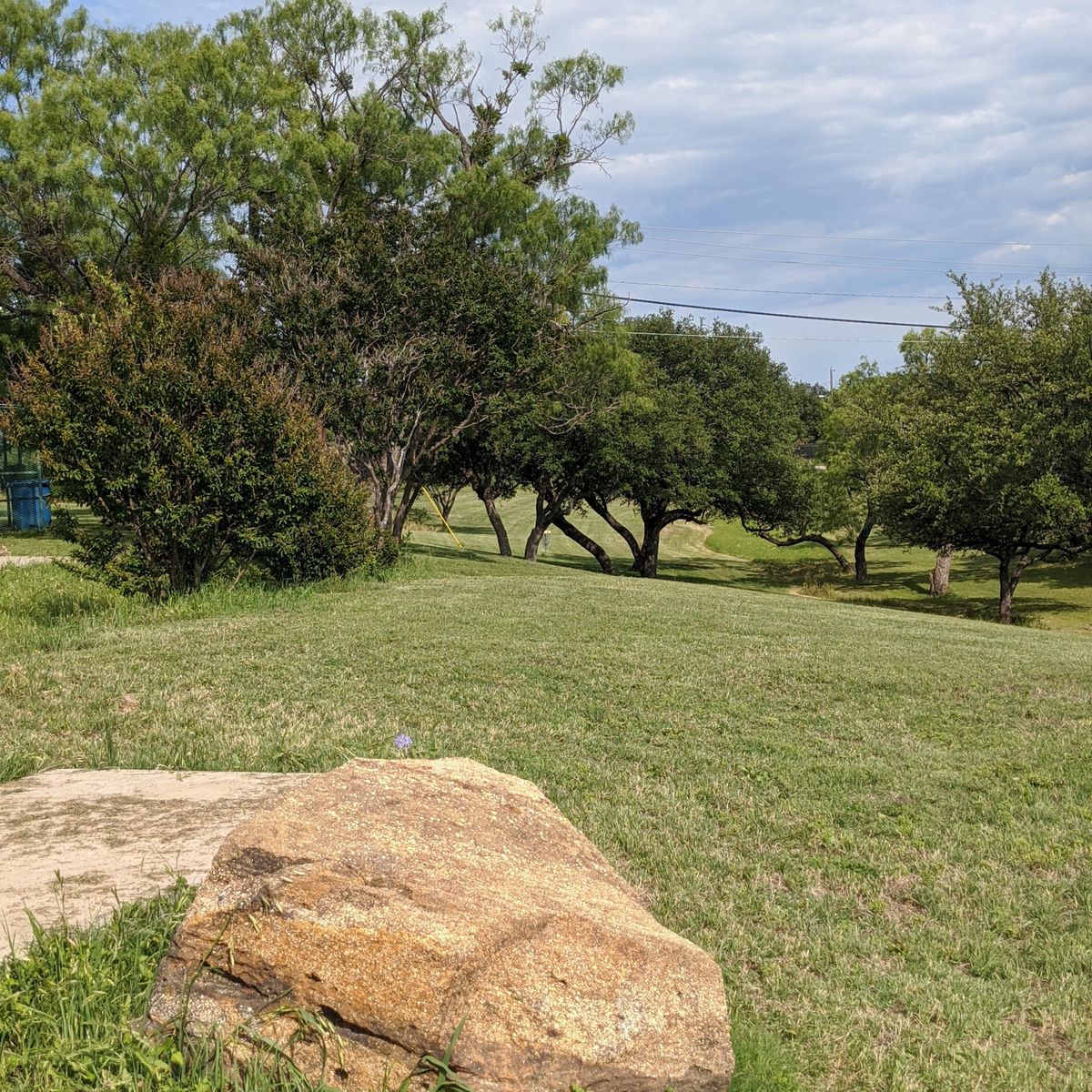Hole 1 from tee to basket