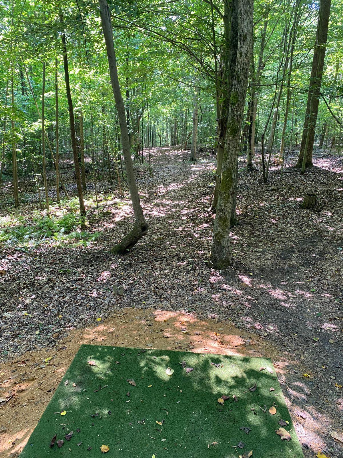 Hole 8 Tee