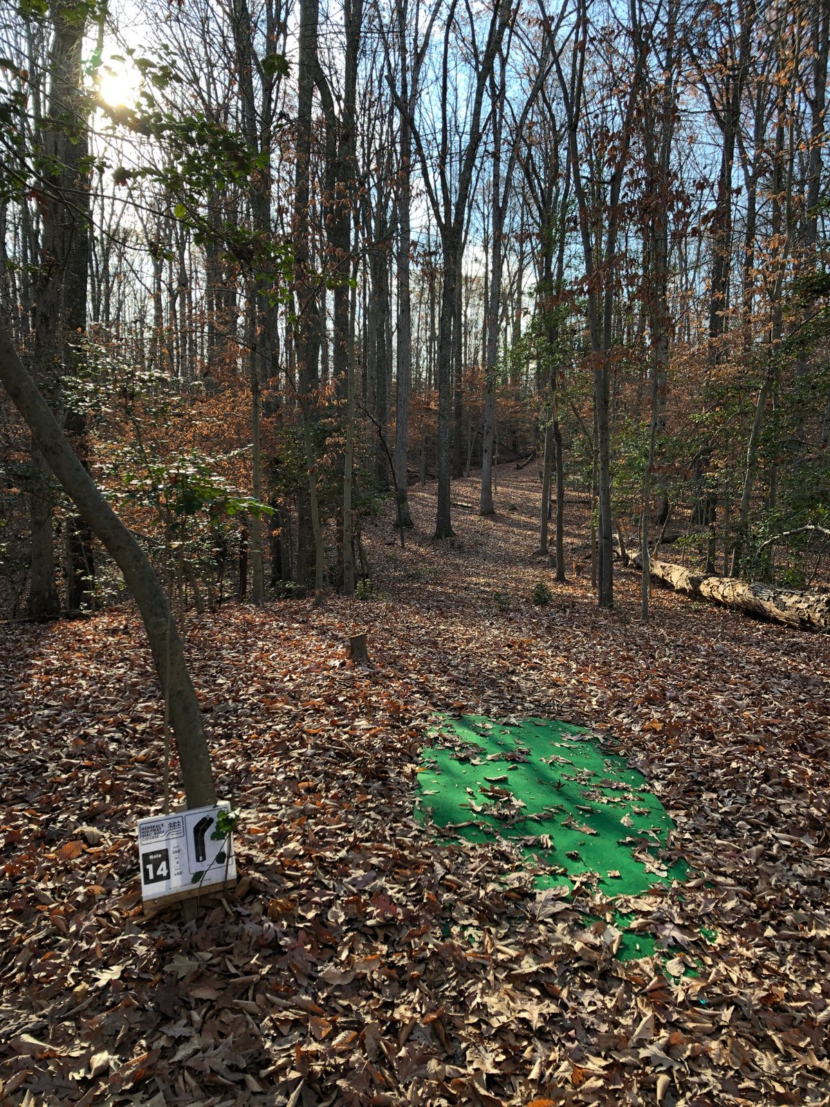 Hole 14 (dogleg right and uphill)