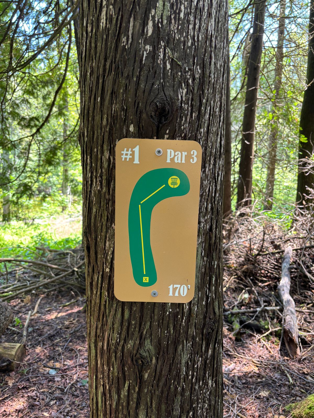 New Tee Signs!