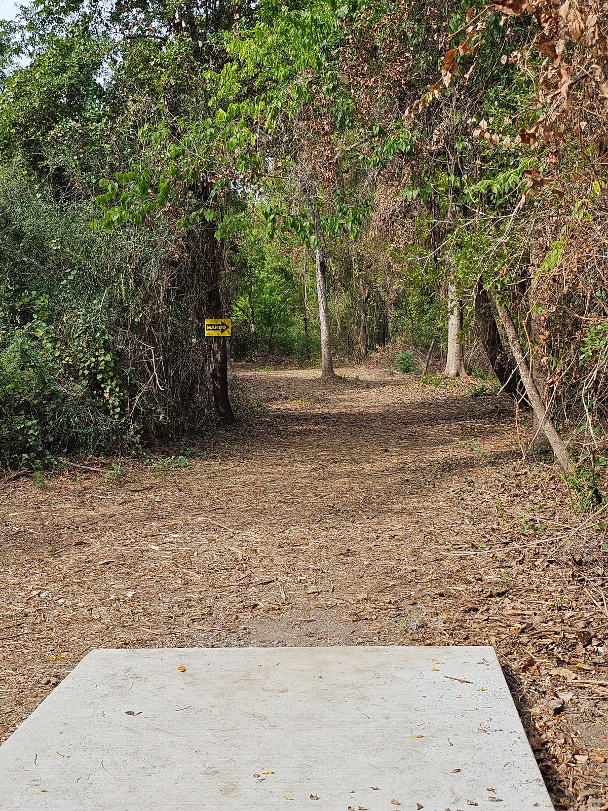 Hole 6 Tee