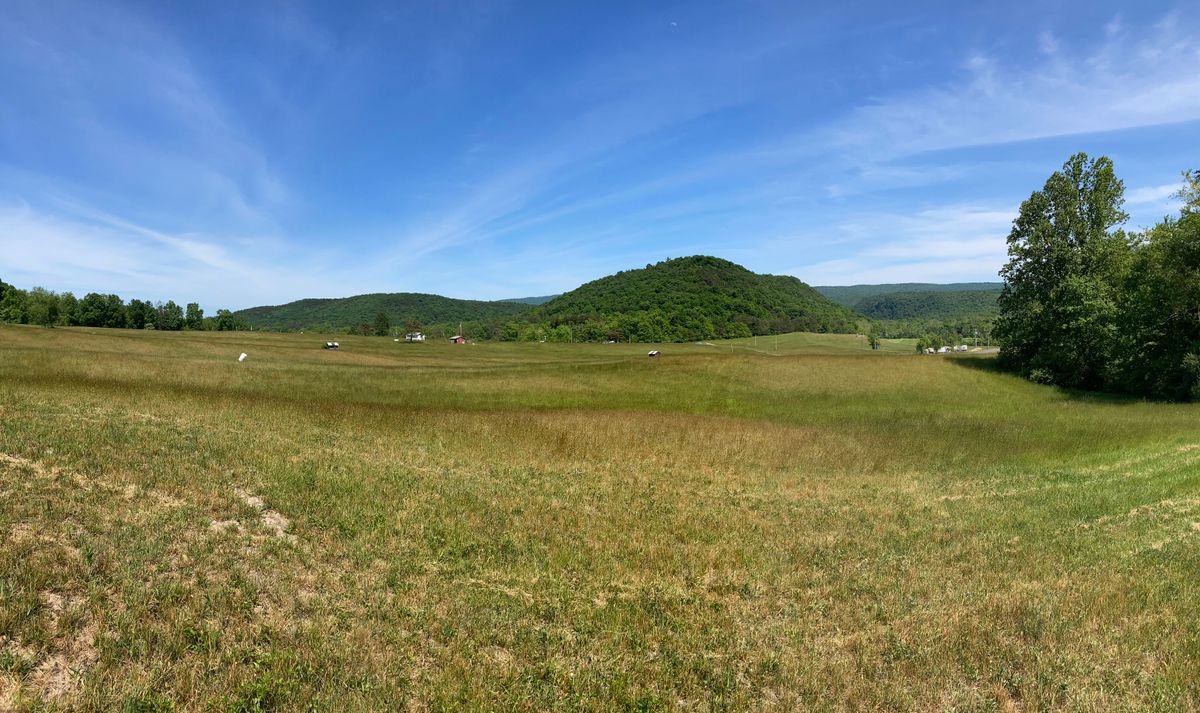 View from the fairway of 6, looking left