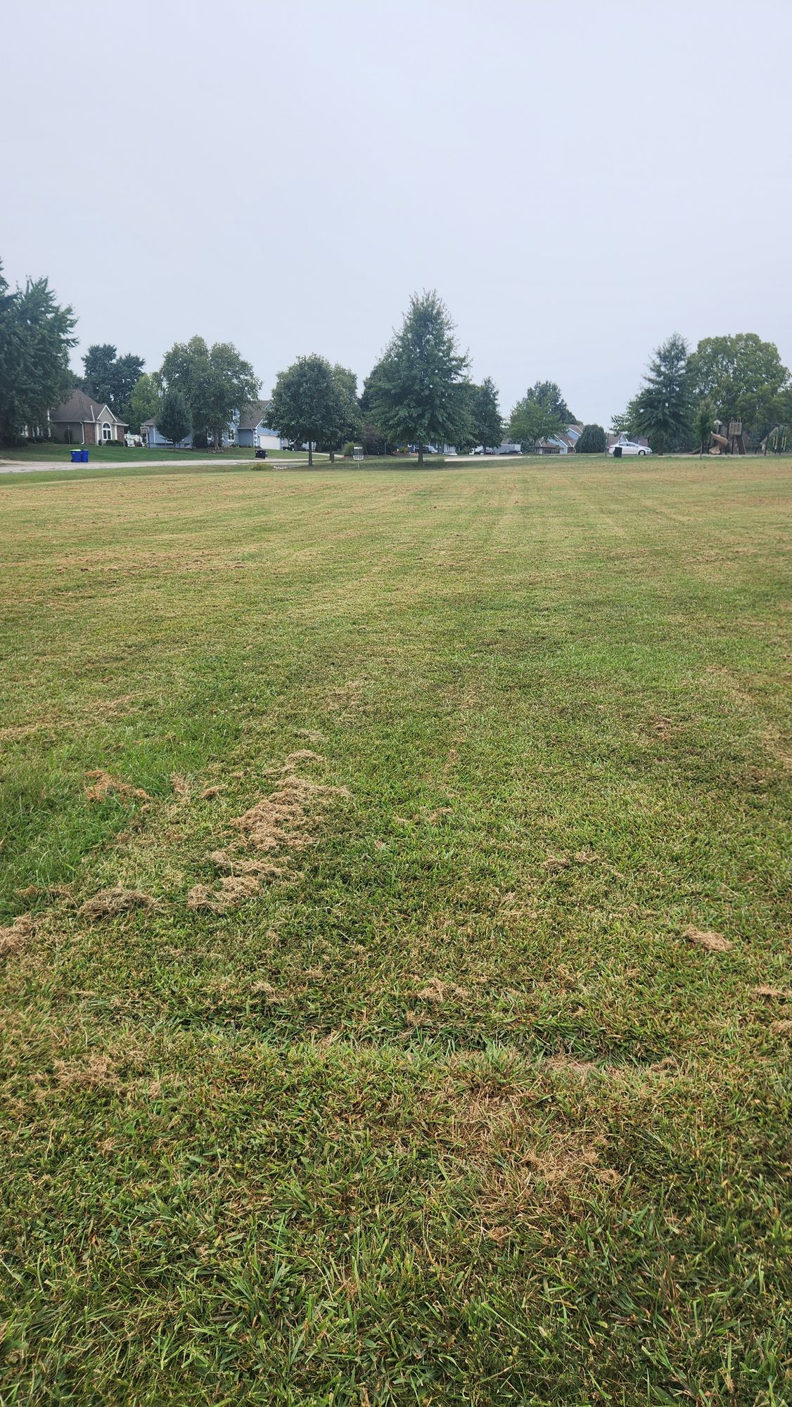 Hole 3 Tee