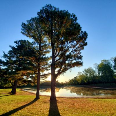 Such a beautiful course!
