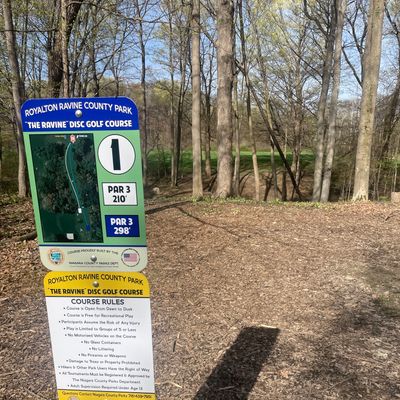 Hole 1, white tees.