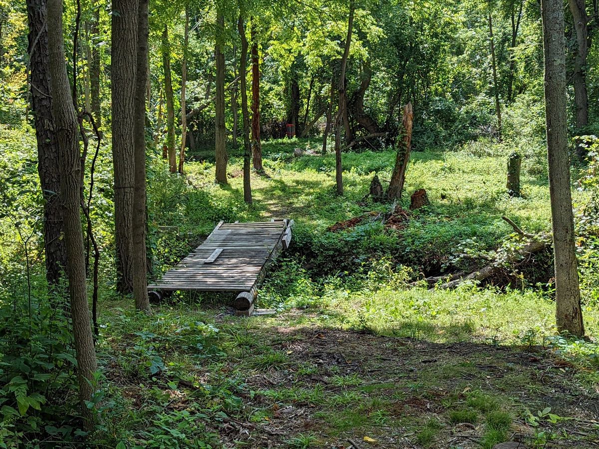 Hole 5 tee