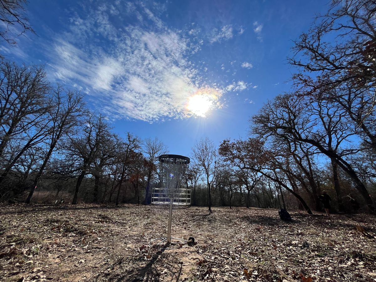 Hole 15 basket