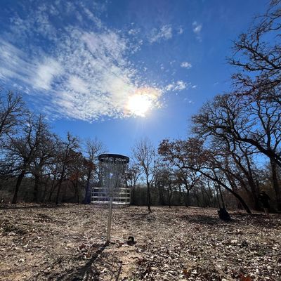 Hole 15 basket