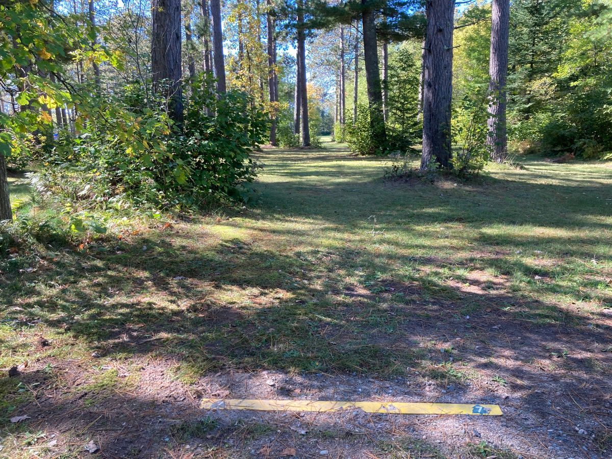 Hole 7 requires a booming shot along a heavily wooded area on the edge of the park.